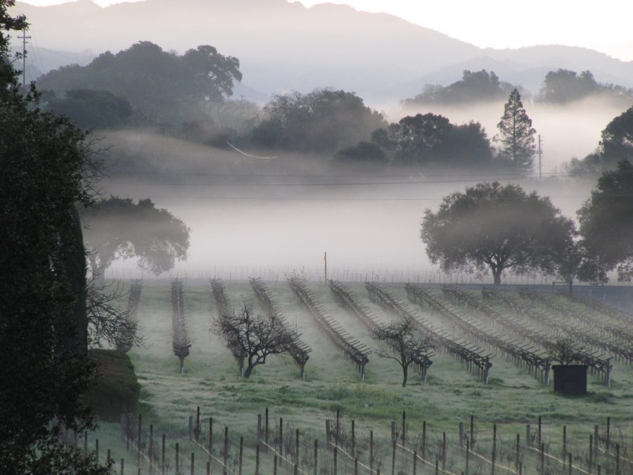 Devastation erupts: Fires consume Napa Valley. Graphic courtesy of Flickr 