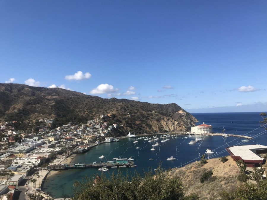 The view of Avalon and its port taken after a short hike.