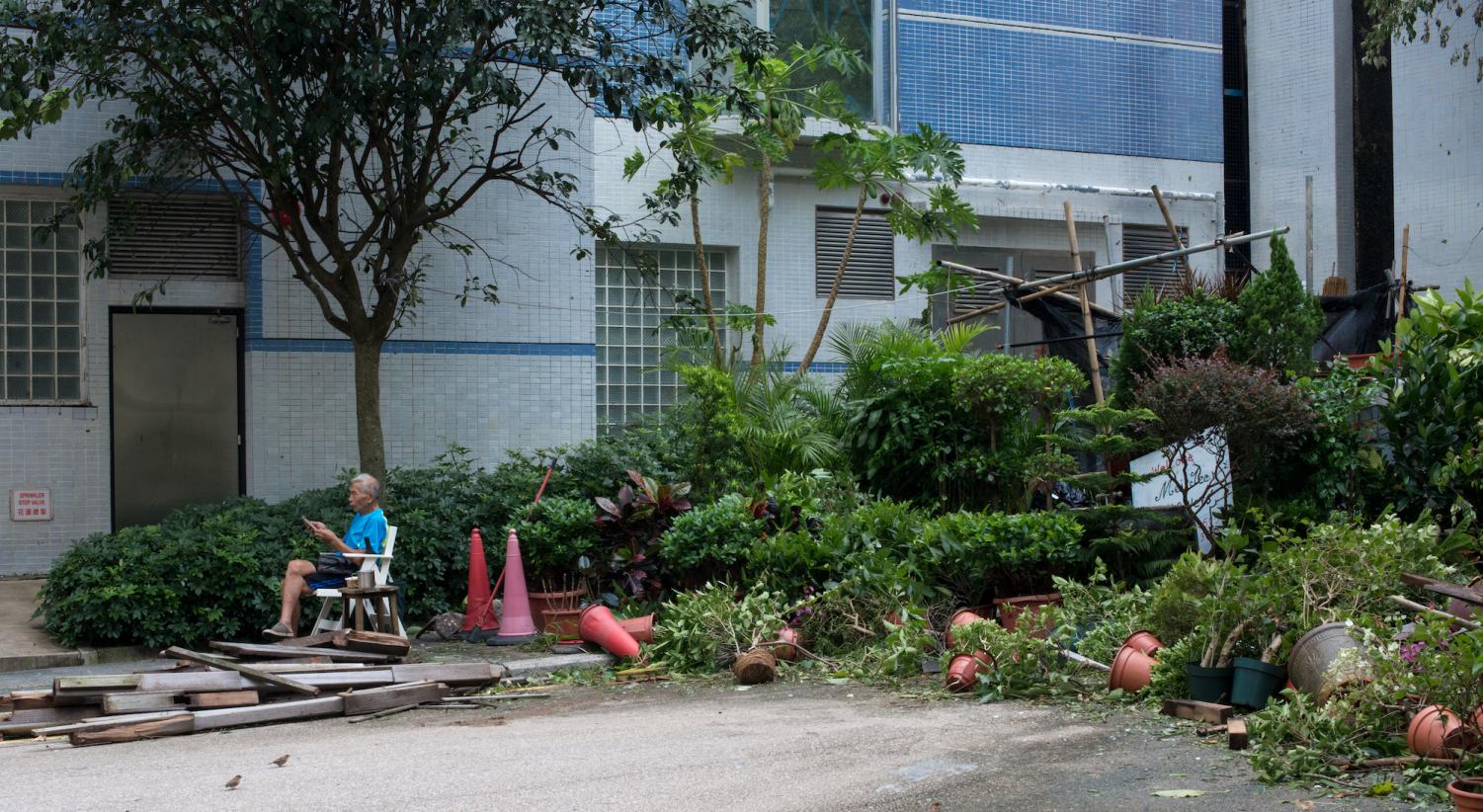 Trees and other objects have toppled onto residential roads in Hong Kong. Graphic courtesy of Dan Hsu