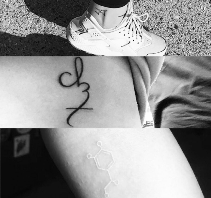 Students+at+Webb+show+off+their+tattoos.+Graphic+Courtesy+of+Emily+Stepanian+%2819%29