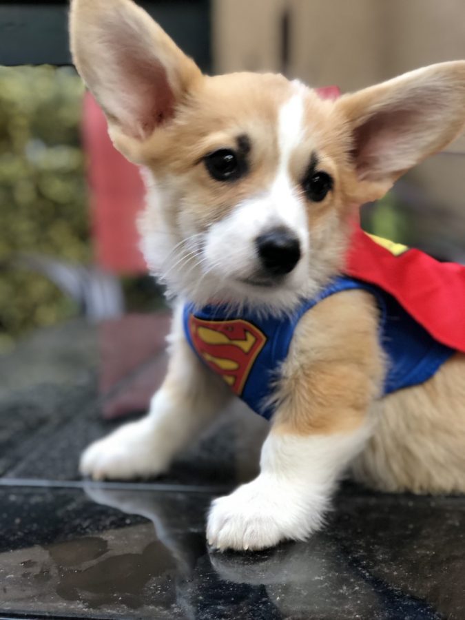 Roxas poses in his superman suit for his first Instagram post. 