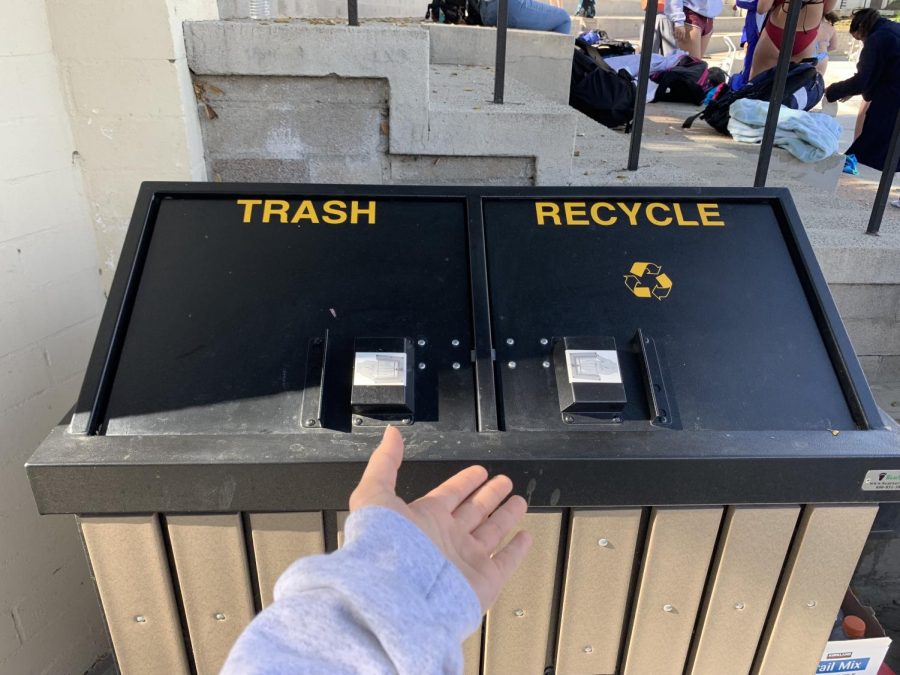 A Webbie decides to recycle her trash instead of throwing it away.