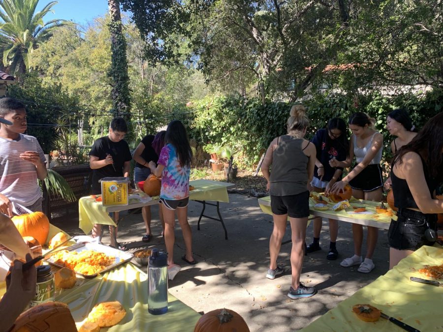WSC and VWS freshmen work on their pumpkins.