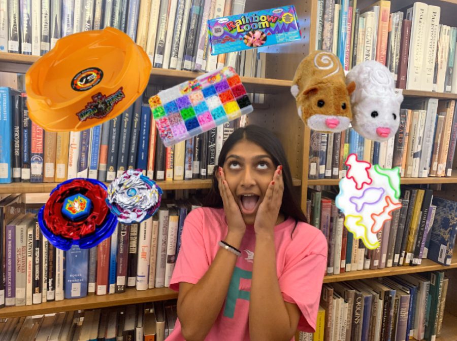 Manek Khedia (‘21) thinks about some of her favorite toys from the 2010s.