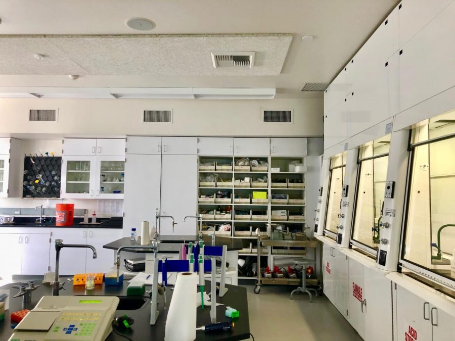Thornton Lab awaits afternoon activity students. It is quiet before the rush of researchers come in ready to perform their experiments.