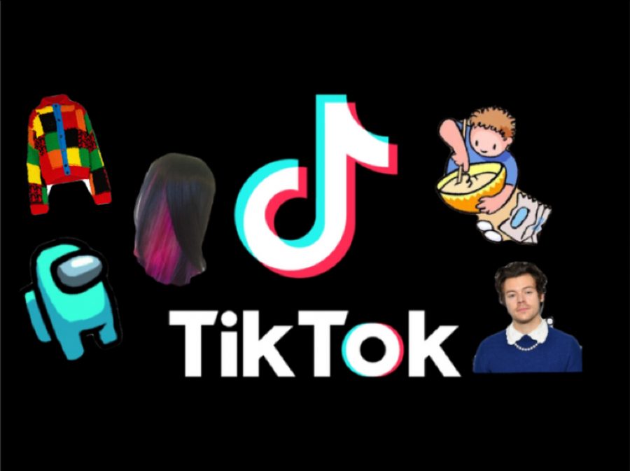 The social media app, TikTok, popularizes countless new trends. Graphic courtesy: Kaitlyn De Armas ('21). 