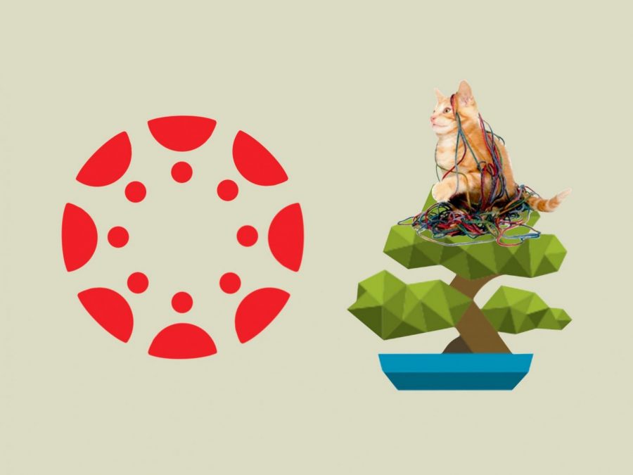 Even the graphics on Haiku were better. On the left is the Canvas logo, which features boring red circles. On the right is Haiku’s logo, which features the tree and on top is the infamous tangled in yarn cat.