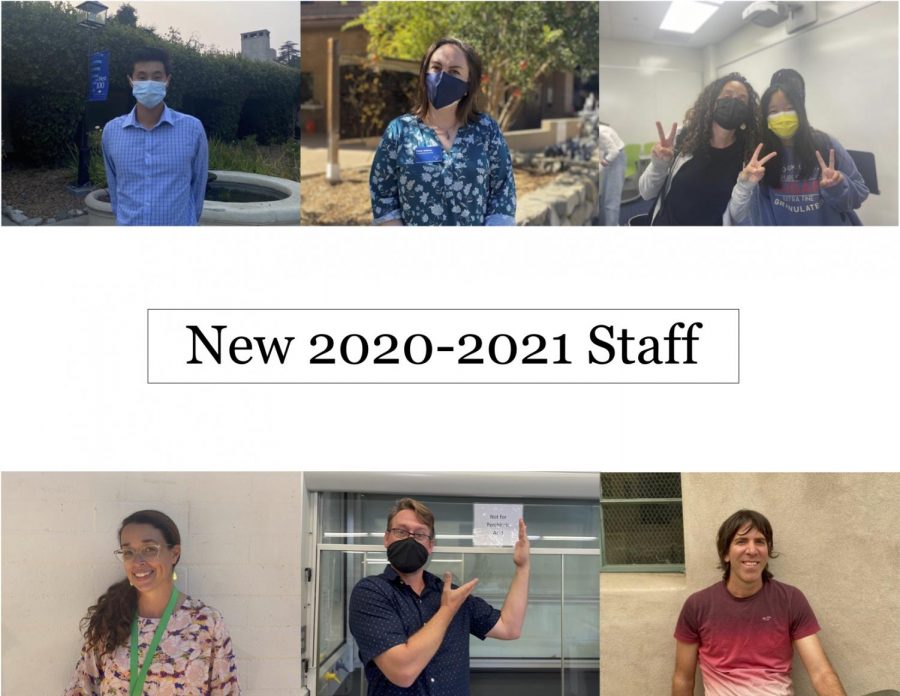 New 2020-2022 staff: here are the facts