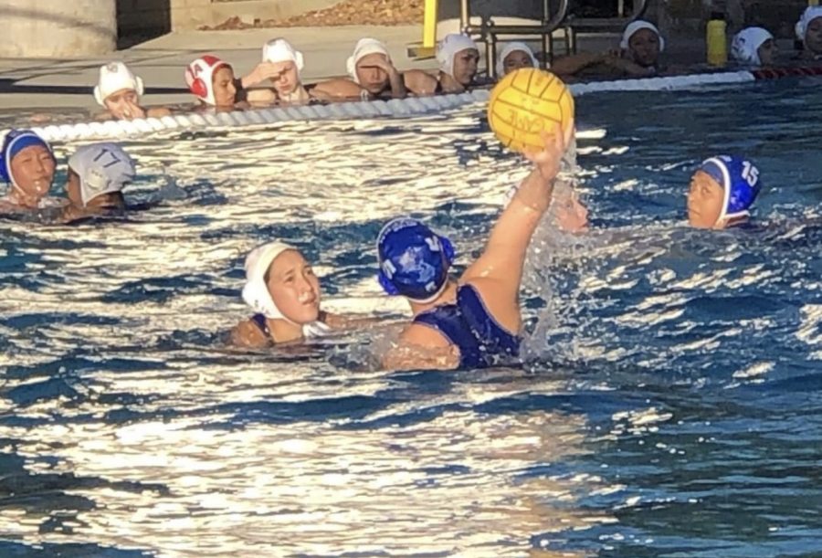 VWS Water Polo