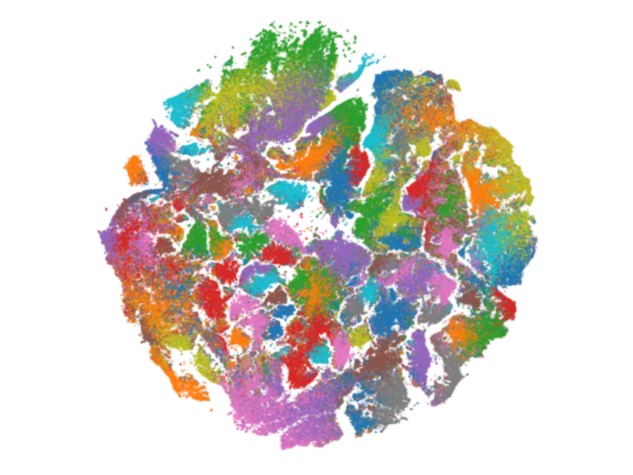 Above is a visualization of Fionas neural network, titled Figure 9. t-SNE Visualization of Node Embeddings Generated by GraphSAGE.This graph shows the relationships between the data on innovation Fiona collected and analyzed. 