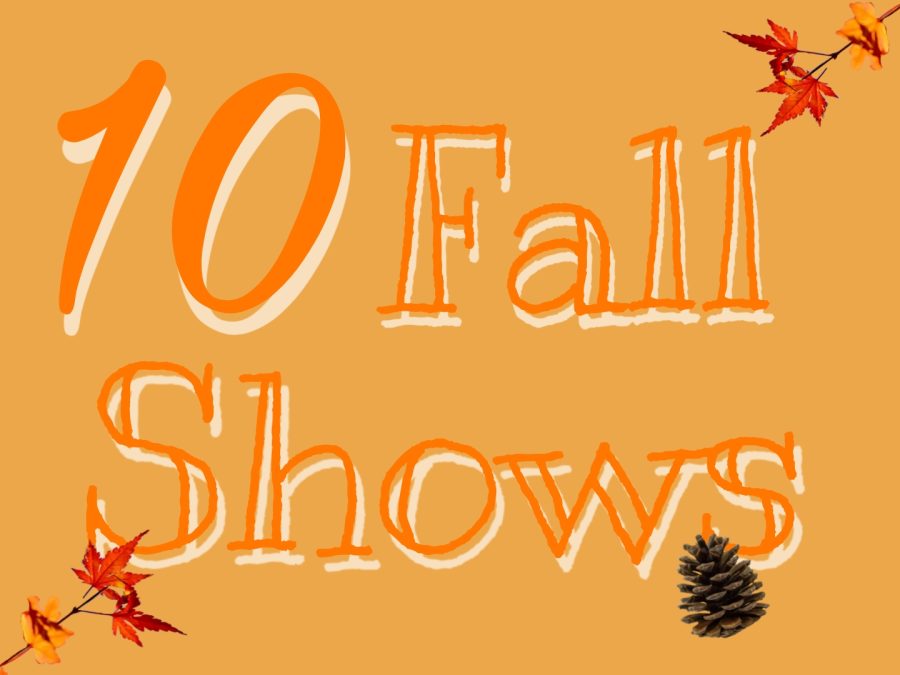 Here are ten TV shows to watch this fall. Vampires, zombies, and horror galore await you. And if that’s not your style, then theres more than enough dramatic shows to occupy your time. Get ready to find your new favorite show on this list! 