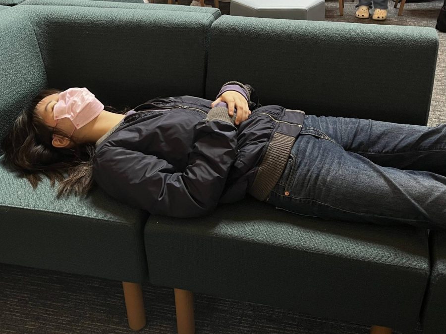After a long day of work, Katharine OHearn (24) sleeps on the library couch to “catch up” on sleep. 