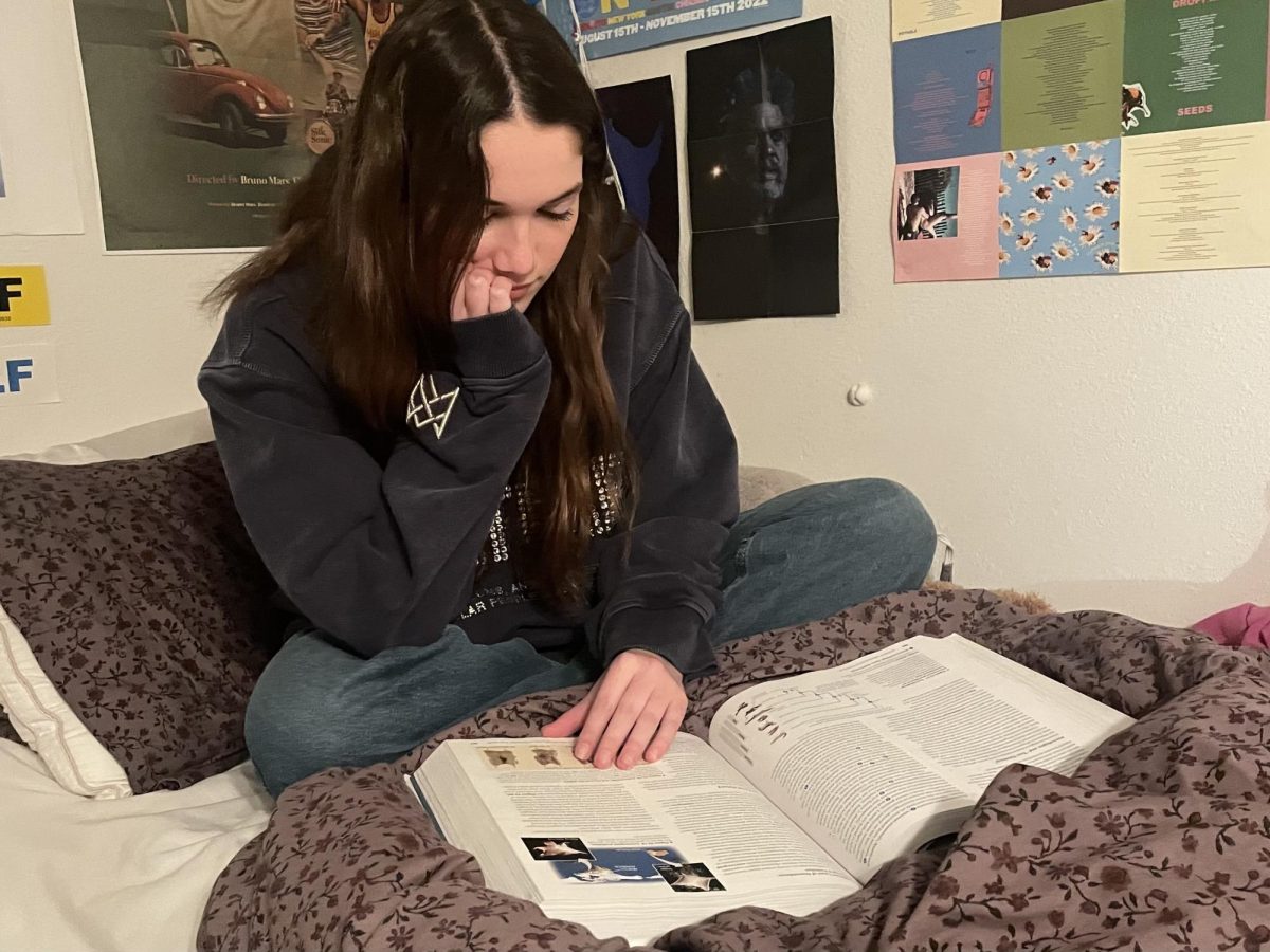Payton Delgado (‘25) is sitting on her bed studying for her next quiz in AP Biology. “I usually start studying a couple of days before the quiz,” Payton said. “Usually when I first find out about the quiz, I start to study soon so I can understand the material as much as possible.”  