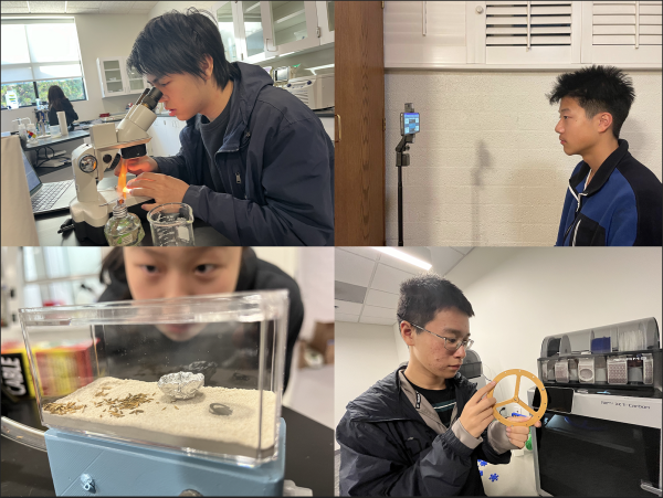 (Clockwise from top-left) Andrew Huang (‘26), Jonas Sun (‘25), Charlie Zhang (‘27), and Claire Yu (‘27) work on their projects in Science Fair Research Lab, examining everything from biology and chemistry to machine learning and satellites. The activity provides students with the time and resources to investigate their own scientific leads. “I worked on my machine learning app for a whole year during the Webb Science Fair afternoon activity,” Jonas said. “Dr. Martin and Ms. Asanas were a great help and provided a lot of suggestions.”  