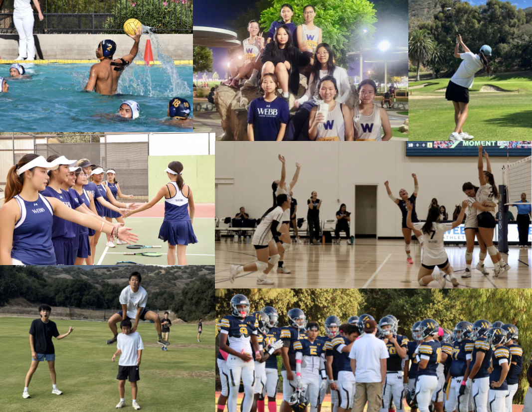 Fall Sports Overview